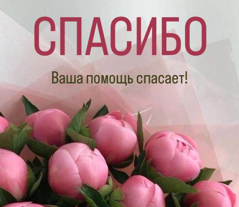 Отчетная информация 28.06 - 02.07.2024