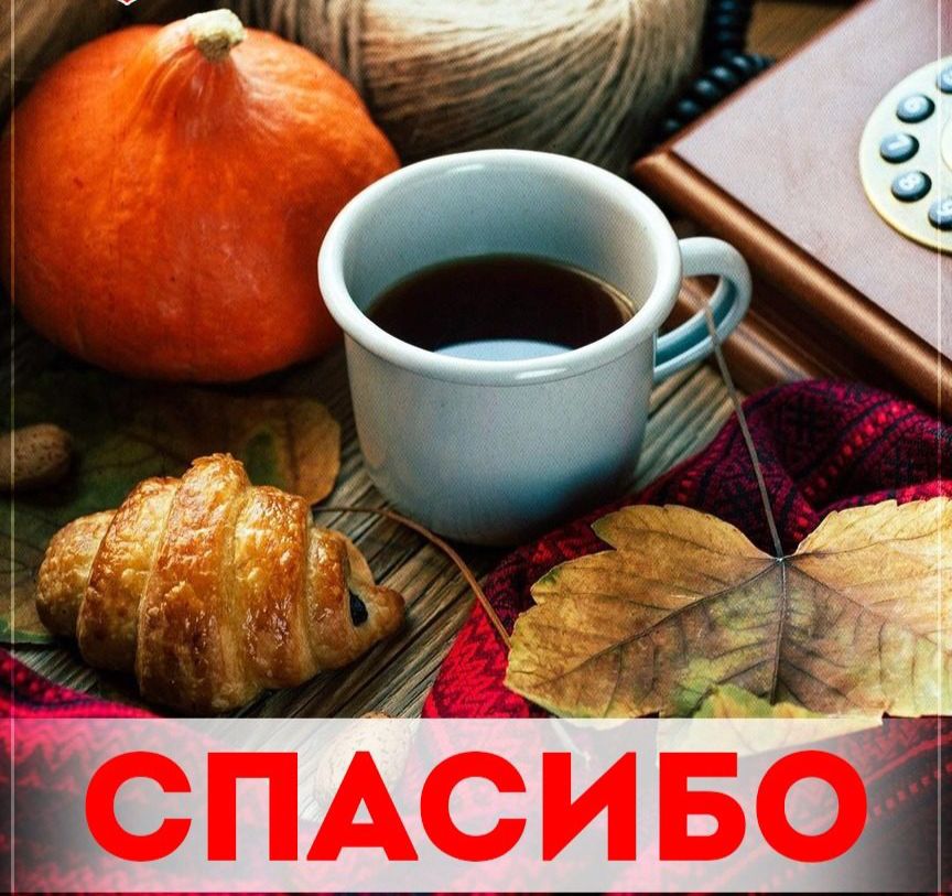 Отчетная информация 24.09 - 27.09.2024