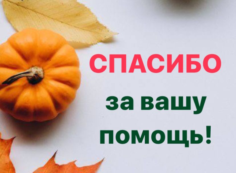 Отчетная информация 05.11 - 08.11.2024