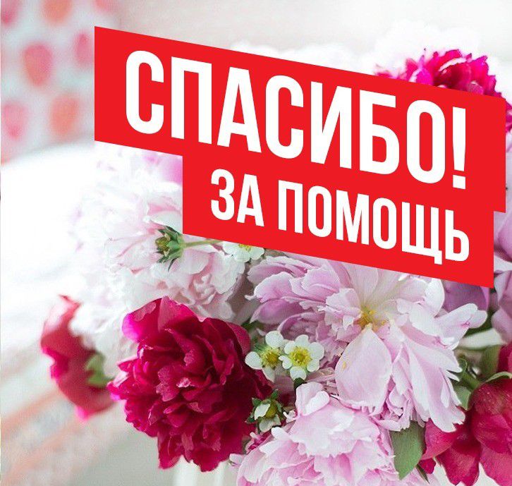 Отчетная информация 07.06 - 11.06.2024