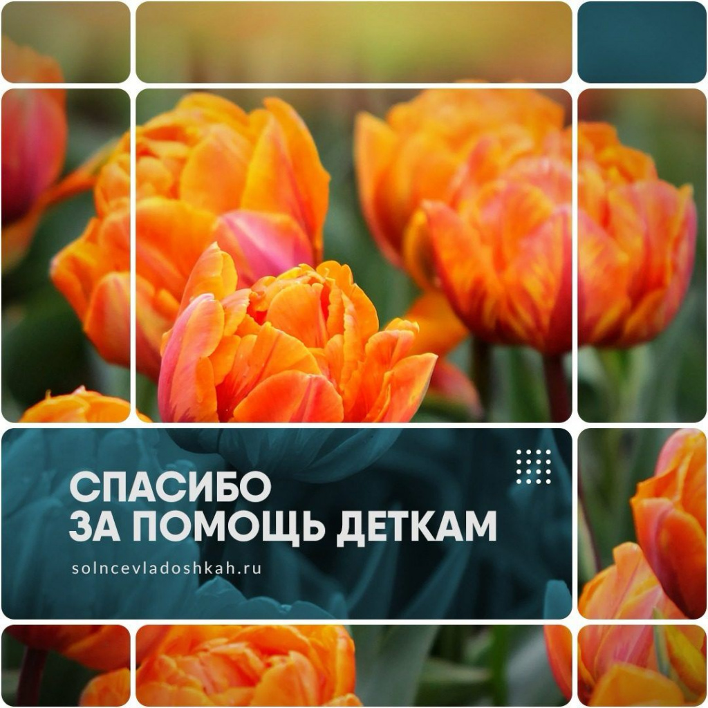 Отчетная информация 27.02 - 01.03.2024