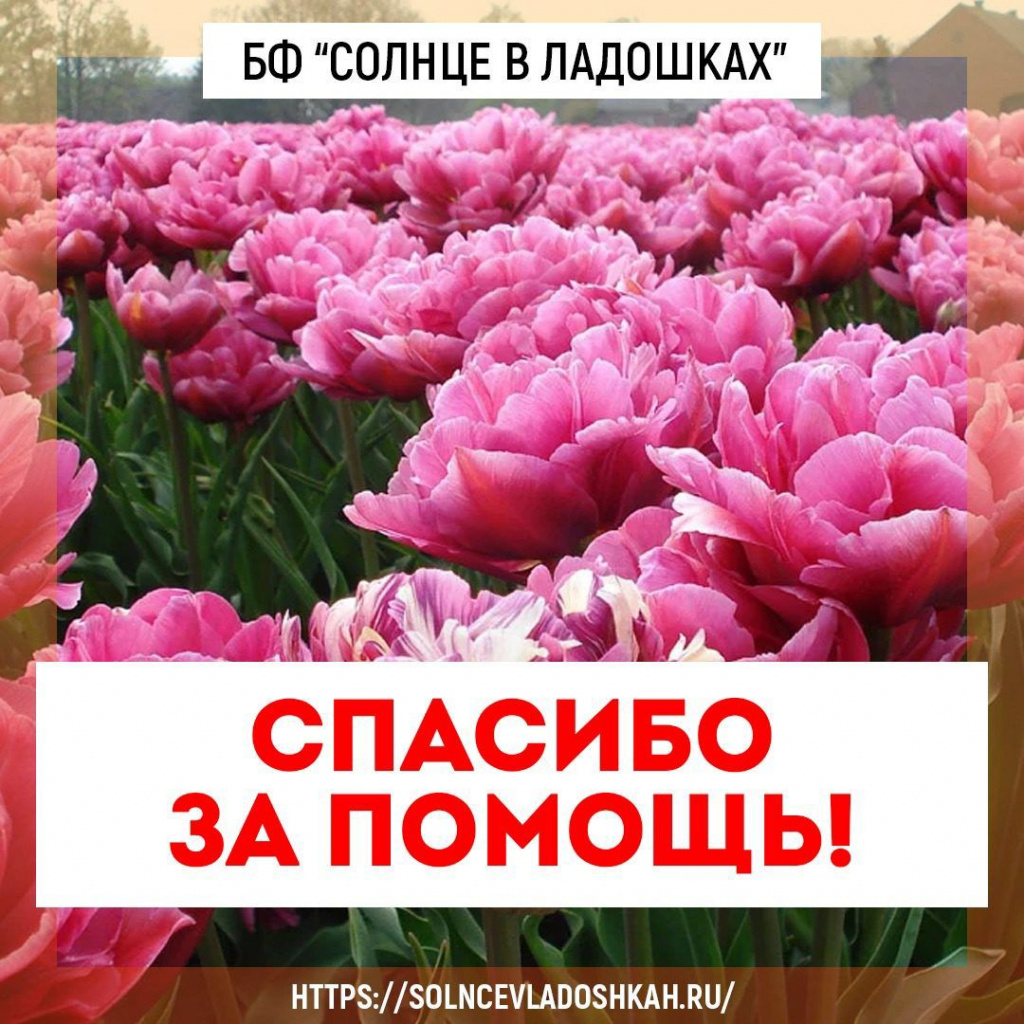 Отчетная информация 09.08 - 12.08.2022