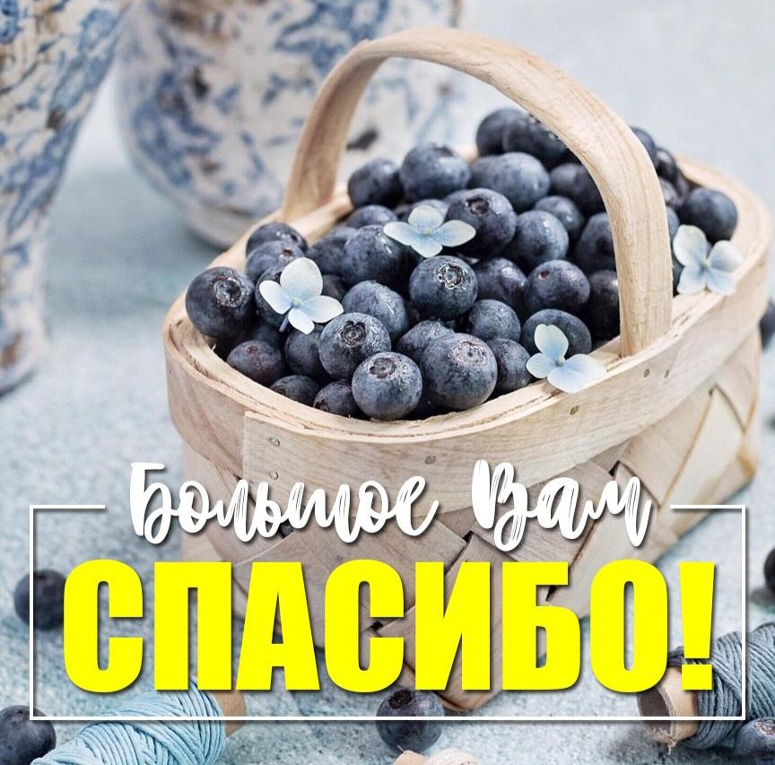 Отчетная информация 28.05 - 31.05.2024