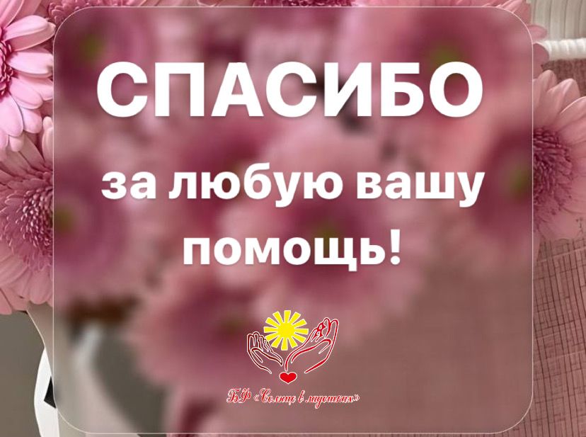 Отчетная информация 11.06 - 14.06.2024