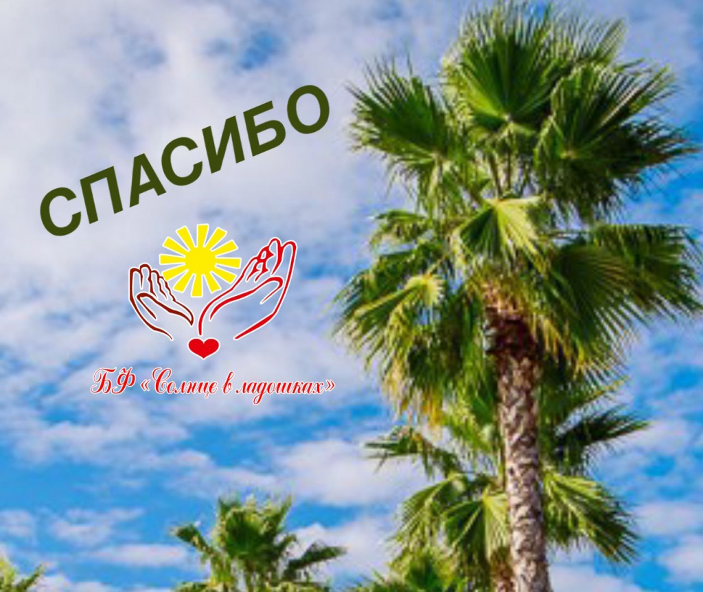 Отчетная информация 16.07 - 19.07.2024